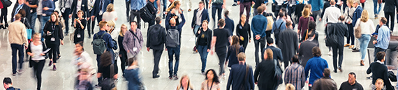 Public liability insurance